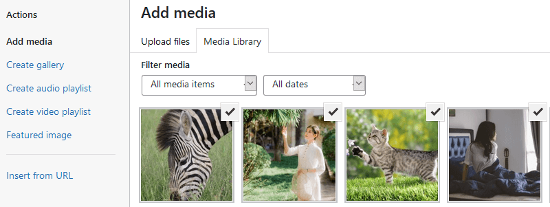 wordpress add media