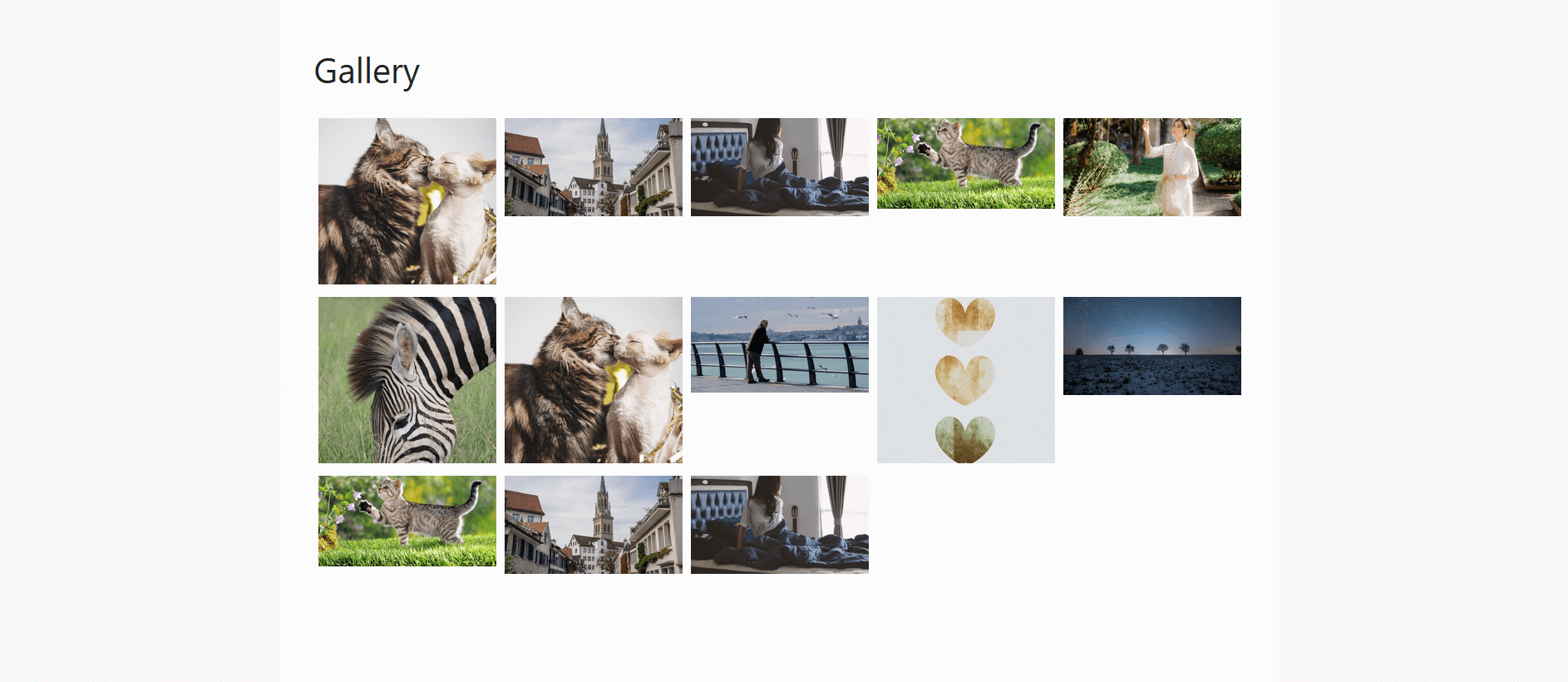 how-to-create-a-photo-gallery-in-wordpress-lightbox-gallery